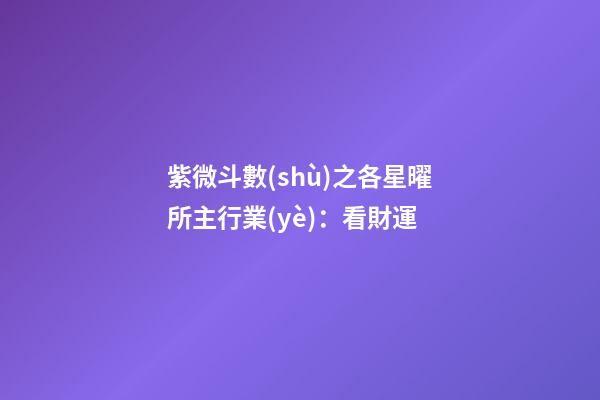 紫微斗數(shù)之各星曜所主行業(yè)：看財運