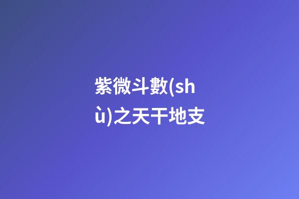 紫微斗數(shù)之天干地支