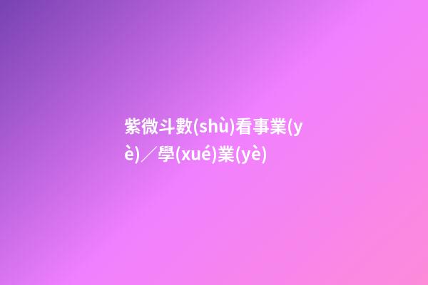 紫微斗數(shù)看事業(yè)／學(xué)業(yè)