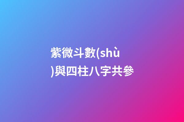 紫微斗數(shù)與四柱八字共參