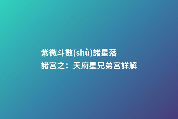 紫微斗數(shù)諸星落諸宮之：天府星兄弟宮詳解