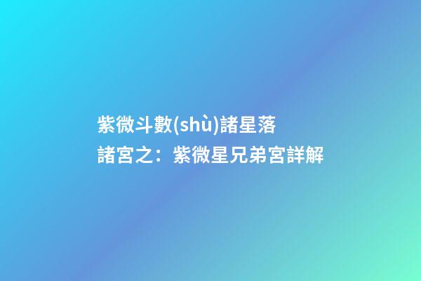 紫微斗數(shù)諸星落諸宮之：紫微星兄弟宮詳解