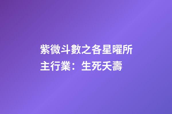 紫微斗數之各星曜所主行業：生死夭壽