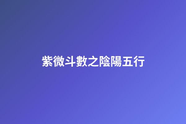 紫微斗數之陰陽五行
