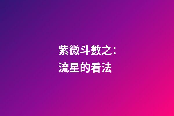 紫微斗數之：流星的看法