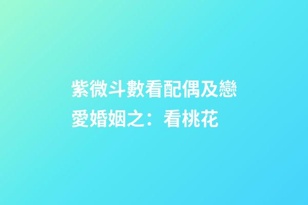 紫微斗數看配偶及戀愛婚姻之：看桃花