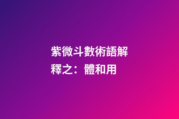 紫微斗數術語解釋之：體和用