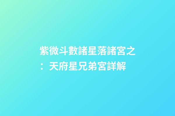紫微斗數諸星落諸宮之：天府星兄弟宮詳解