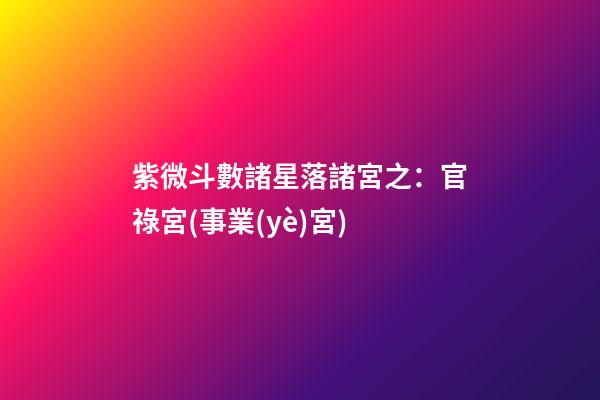 紫微斗數諸星落諸宮之：官祿宮(事業(yè)宮)