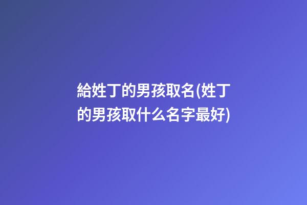 給姓丁的男孩取名(姓丁的男孩取什么名字最好)