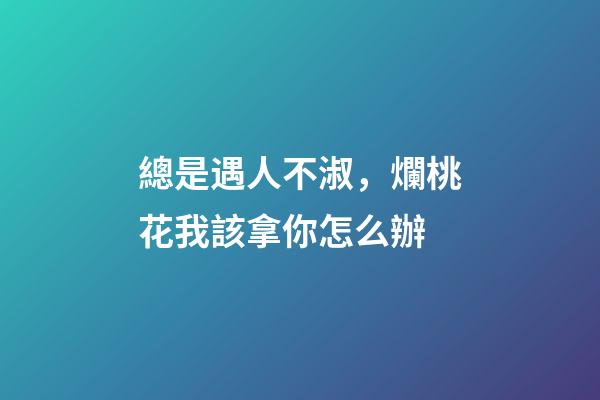 總是遇人不淑，爛桃花我該拿你怎么辦