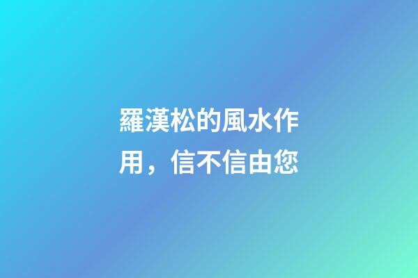羅漢松的風水作用，信不信由您