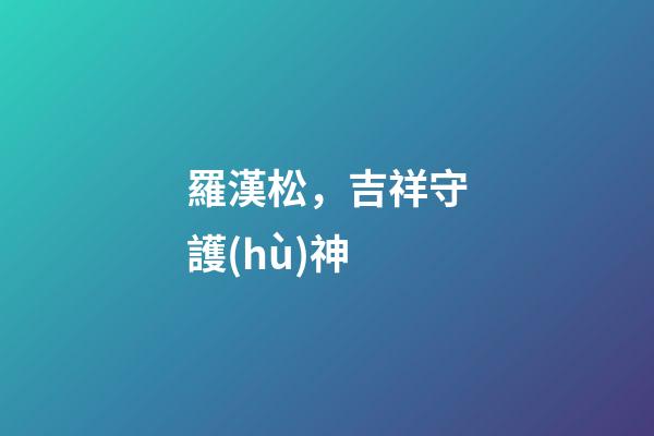 羅漢松，吉祥守護(hù)神
