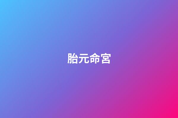 胎元命宮