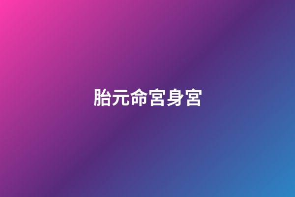 胎元命宮身宮
