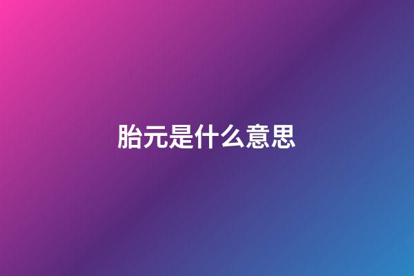 胎元是什么意思