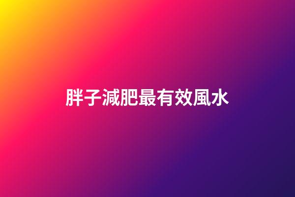 胖子減肥最有效風水