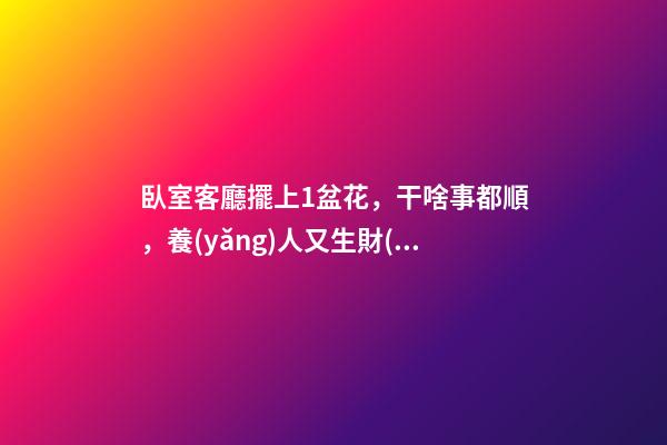 臥室客廳擺上1盆花，干啥事都順，養(yǎng)人又生財(cái)！
