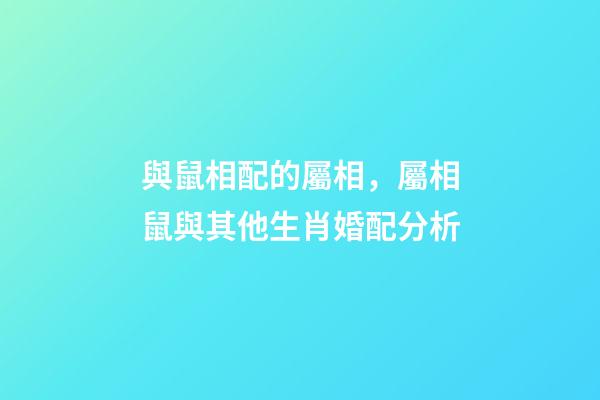 與鼠相配的屬相，屬相鼠與其他生肖婚配分析-第1張-觀點-玄機派