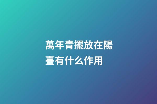 萬年青擺放在陽臺有什么作用
