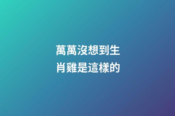 萬萬沒想到生肖雞是這樣的