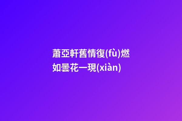 蕭亞軒舊情復(fù)燃如曇花一現(xiàn)