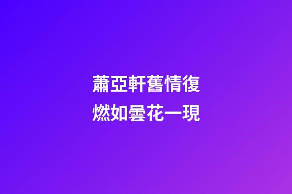 蕭亞軒舊情復燃如曇花一現