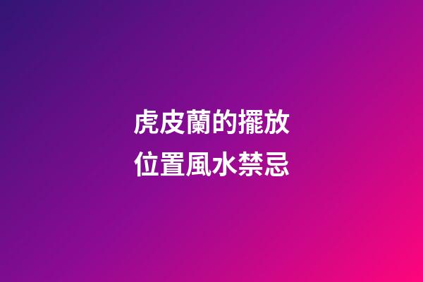 虎皮蘭的擺放位置風水禁忌