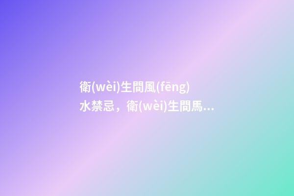 衛(wèi)生間風(fēng)水禁忌，衛(wèi)生間馬桶的六大風(fēng)水講究