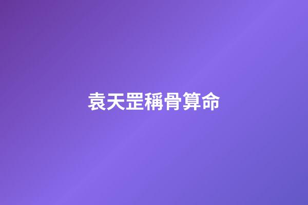 袁天罡稱骨算命