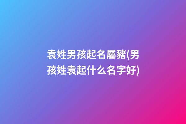 袁姓男孩起名屬豬(男孩姓袁起什么名字好)