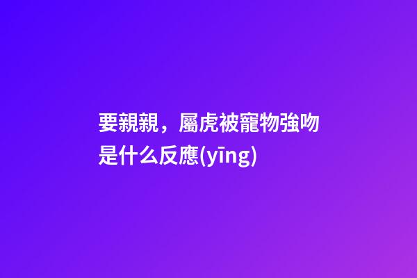 要親親，屬虎被寵物強吻是什么反應(yīng)