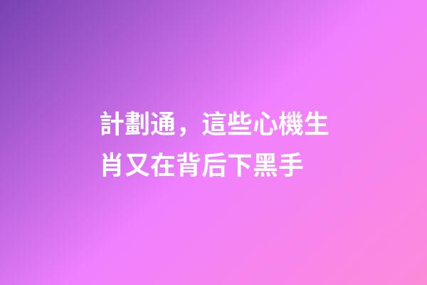 計劃通，這些心機生肖又在背后下黑手