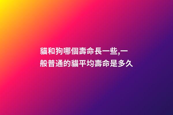 貓和狗哪個壽命長一些,一般普通的貓平均壽命是多久-第1張-觀點-玄機派