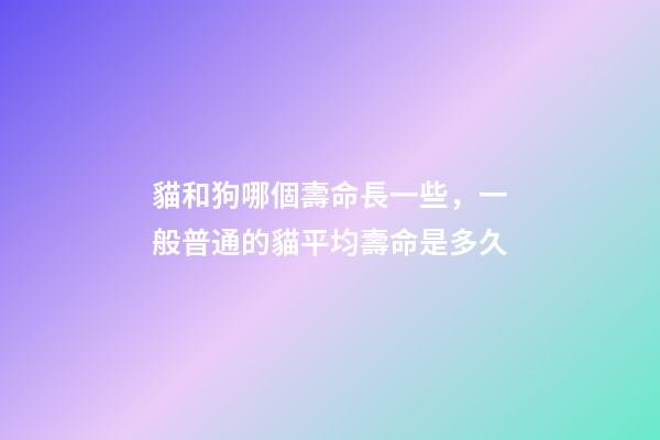 貓和狗哪個壽命長一些，一般普通的貓平均壽命是多久-第1張-觀點-玄機派