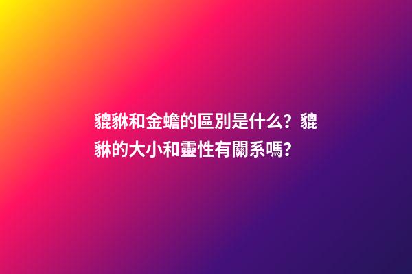 貔貅和金蟾的區別是什么？貔貅的大小和靈性有關系嗎？