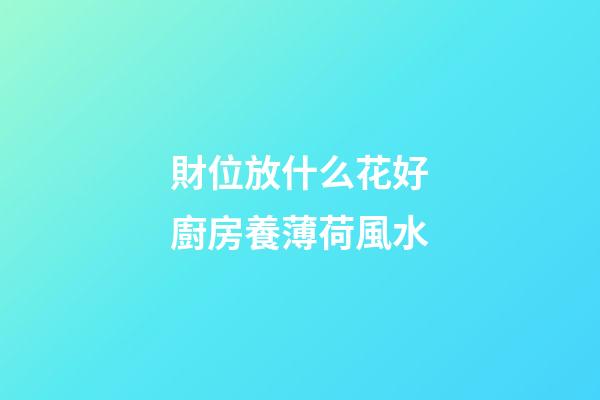 財位放什么花好廚房養薄荷風水