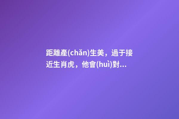 距離產(chǎn)生美，過于接近生肖虎，他會(huì)對你愛理不理