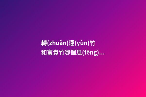 轉(zhuǎn)運(yùn)竹和富貴竹哪個風(fēng)水更好，擺放竹子的講究