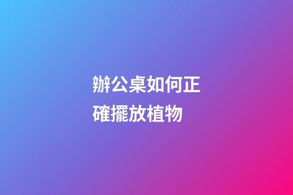 辦公桌如何正確擺放植物