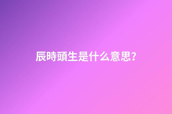 辰時頭生是什么意思？