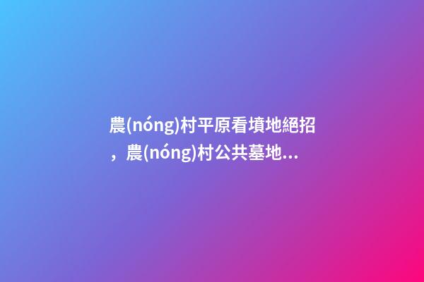 農(nóng)村平原看墳地絕招，農(nóng)村公共墓地好-第1張-觀點(diǎn)-玄機(jī)派