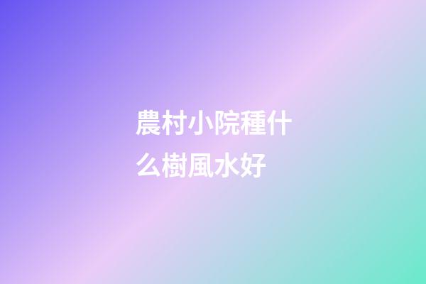 農村小院種什么樹風水好
