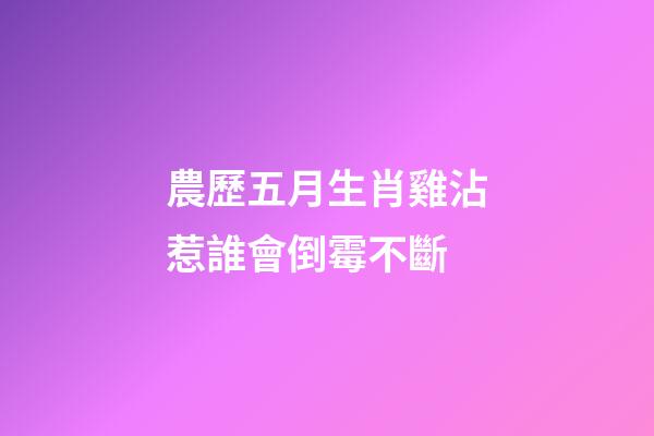 農歷五月生肖雞沾惹誰會倒霉不斷