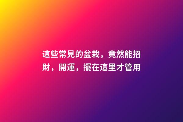 這些常見的盆栽，竟然能招財，開運，擺在這里才管用