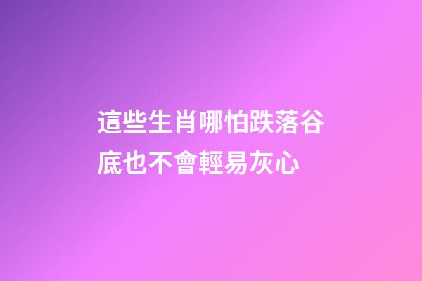 這些生肖哪怕跌落谷底也不會輕易灰心
