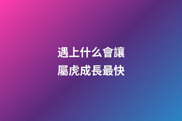 遇上什么會讓屬虎成長最快