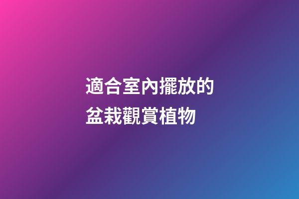 適合室內擺放的盆栽觀賞植物