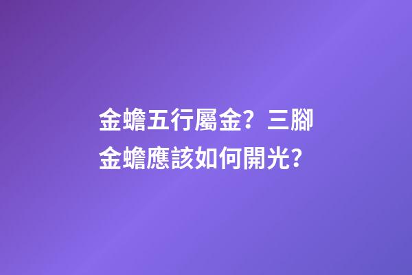 金蟾五行屬金？三腳金蟾應該如何開光？