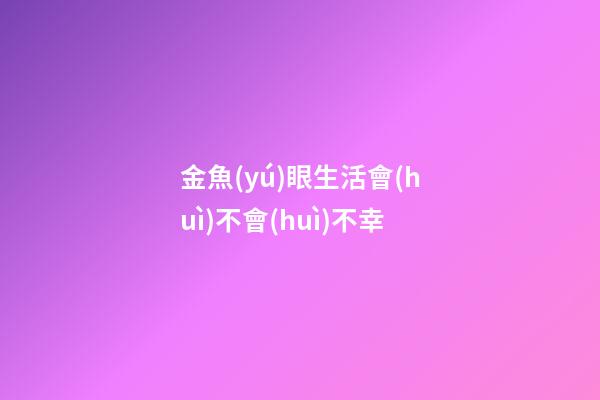 金魚(yú)眼生活會(huì)不會(huì)不幸
